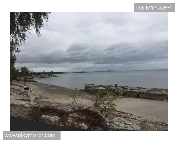 2017赛季国王队与魔术队精彩对决回顾与分析 2017赛季国王队与魔术队精彩对决回顾与分析