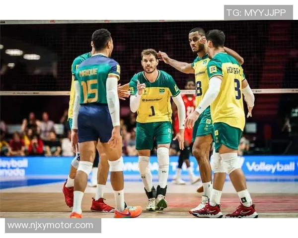 男排法国队与加拿大队激战正酣谁将赢得这场精彩对决